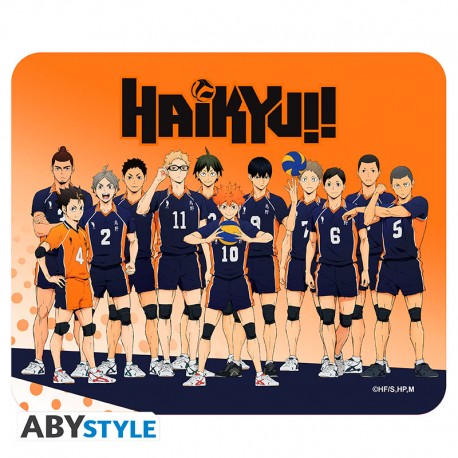 Haikyu!! - Mousepad Karasuno Team